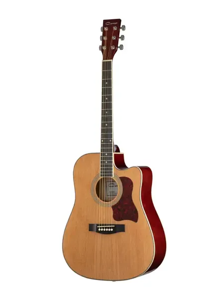 Акустическая гитара Caraya F641