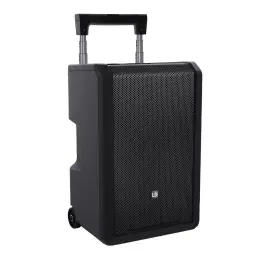 LD Systems ANNY 10 (USA) 10" Portable Bluetooth PA DJ Speaker System w Mixer