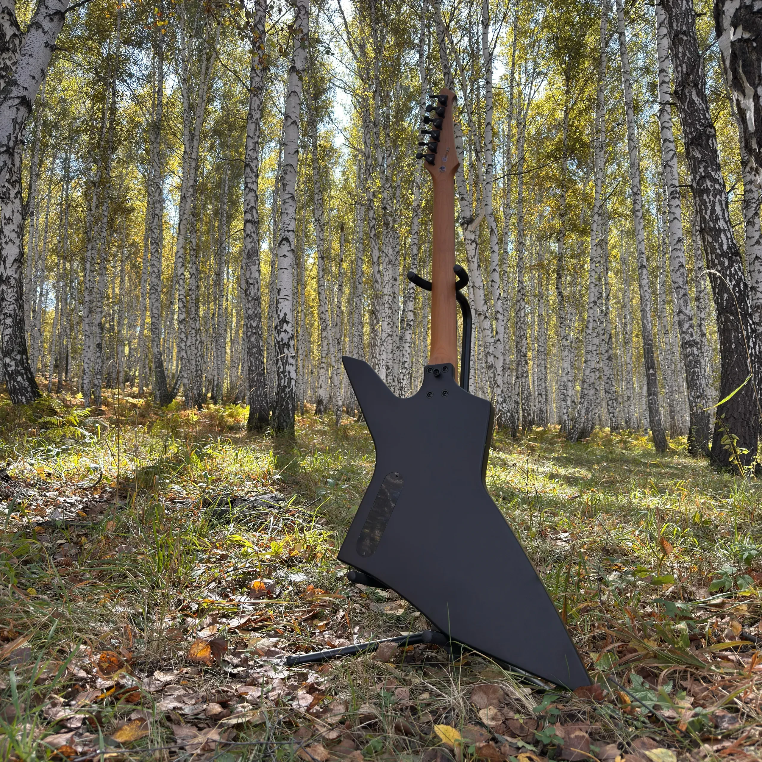 Изображение №7