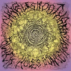 Виниловая пластинка Charles Moothart – Black Holes Don't Choke 2024