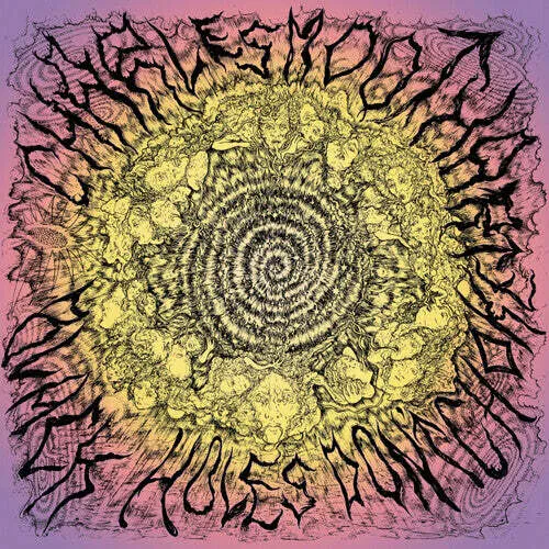 Виниловая пластинка Charles Moothart – Black Holes Don't Choke 2024