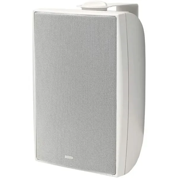 Настенная акустика Tannoy DVS 4T