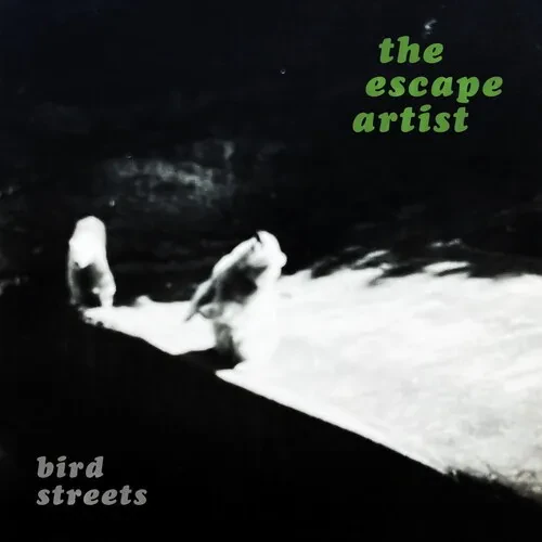 Виниловая пластинка Bird Streets - The Escape Artist - Silver [New Vinyl LP] Colored Vinyl, Silver