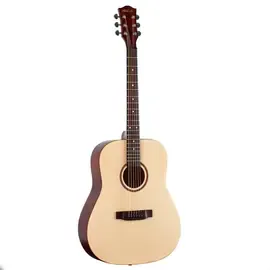 Акустическая гитара Phil Pro AS-4108 N