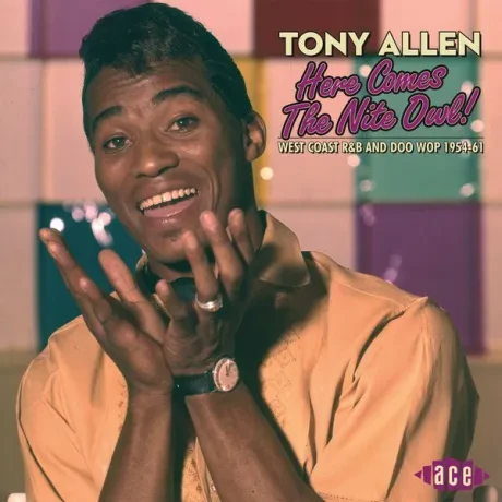TONY ALLEN - Here Comes The Nite Owl! (CD)