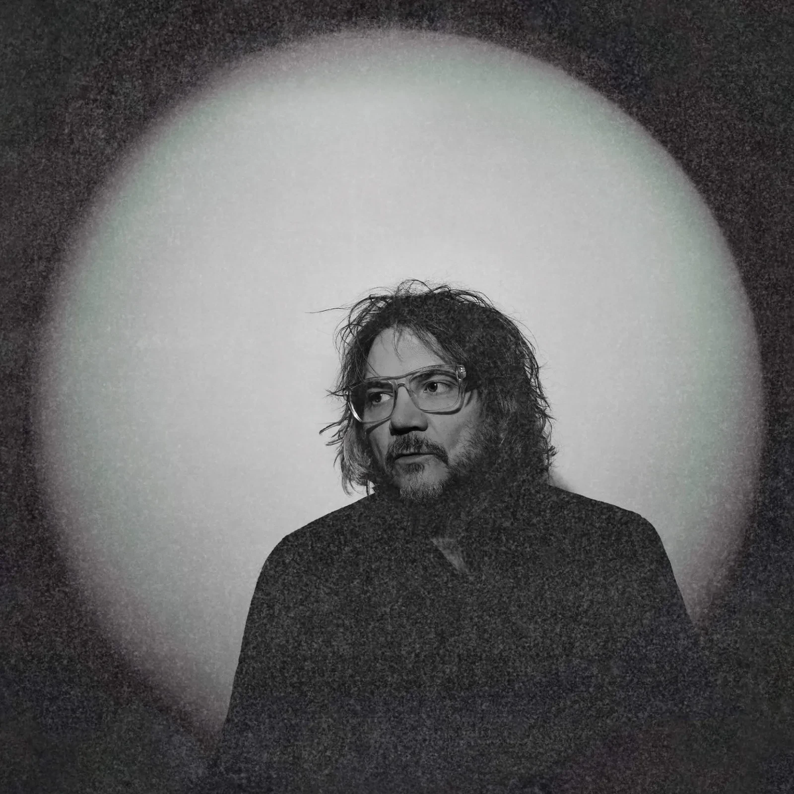 Jeff Tweedy - Twilight Override NEW Vinyl