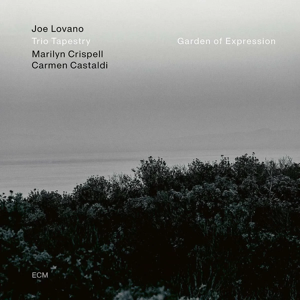 Виниловая пластинка Joe Lovano, Marilyn Crispell, Carmen Castaldi – Garden of Expression 2021