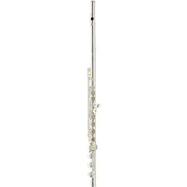 Флейта Giardinelli GFL-10 Series Flute by Haynes Sterling Silver Body