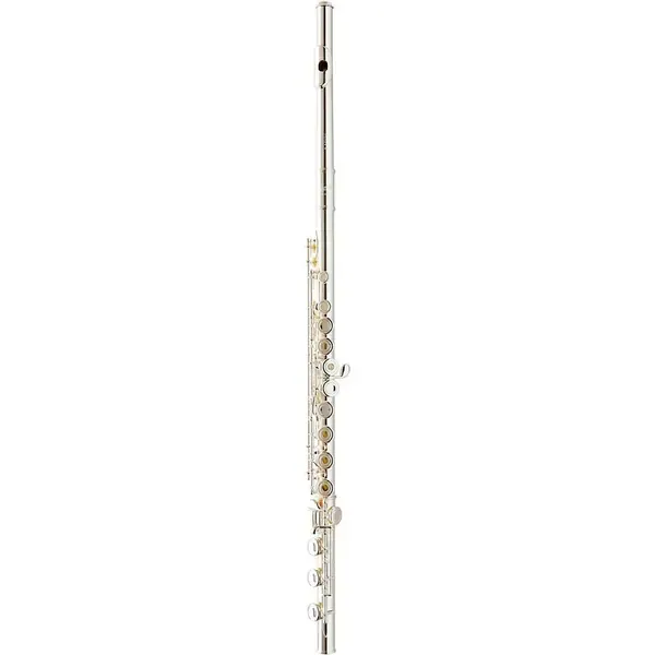 Флейта Giardinelli GFL-10 Series Flute by Haynes Sterling Silver Body