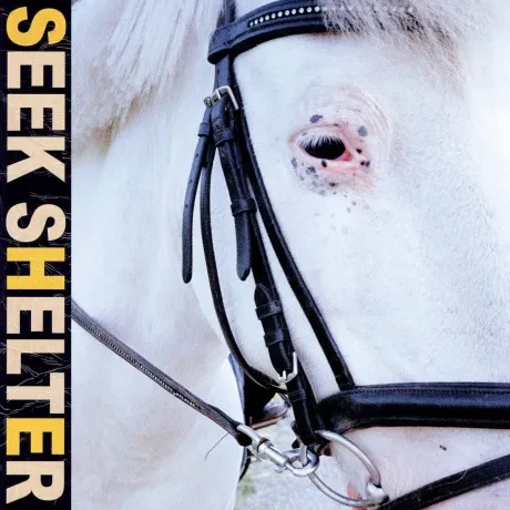 ICEAGE - Seek Shelter (CD)