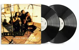 Виниловая пластинка Brownstone - From The Bottom Up NEW Vinyl