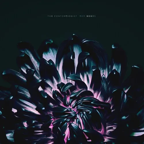 Виниловая пластинка The Contortionist - Our Bones [New Vinyl LP]