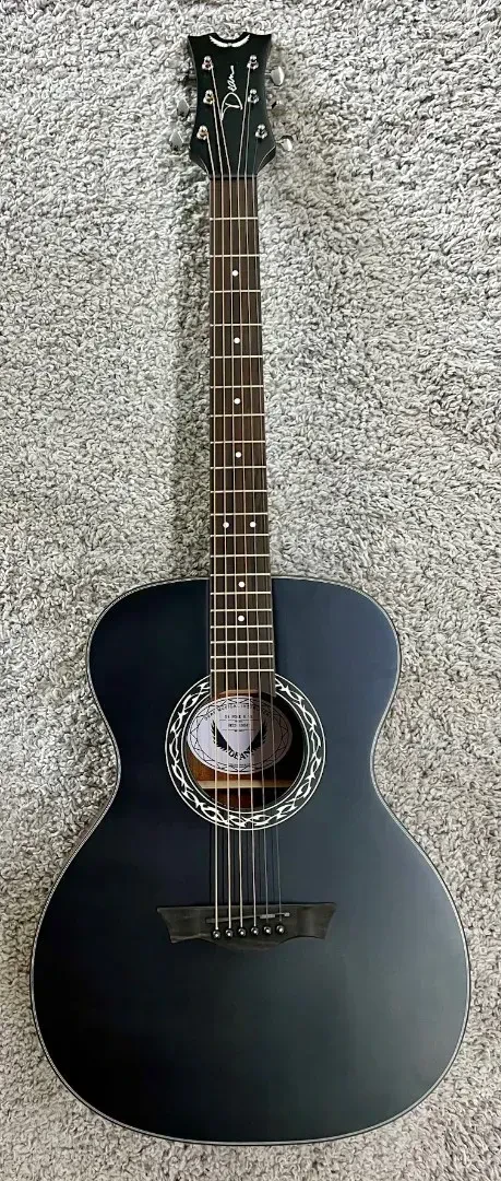 Luna Safari Folk Size Acoustic Guitar - # SA FOLK EVB  - Prototype?