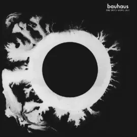 Виниловая пластинка Bauhaus – The Sky's Gone Out (Релиз 2022) Sealed