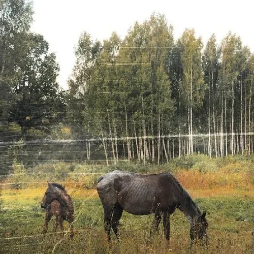 Виниловая пластинка Pianos Become the Teeth - Old Pride [New Vinyl LP] Colored Vinyl, Green, Poster,