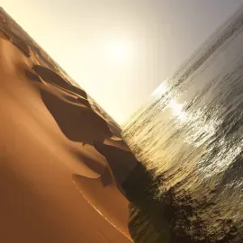 Mark Pritchard - Under The Sun NEW Vinyl