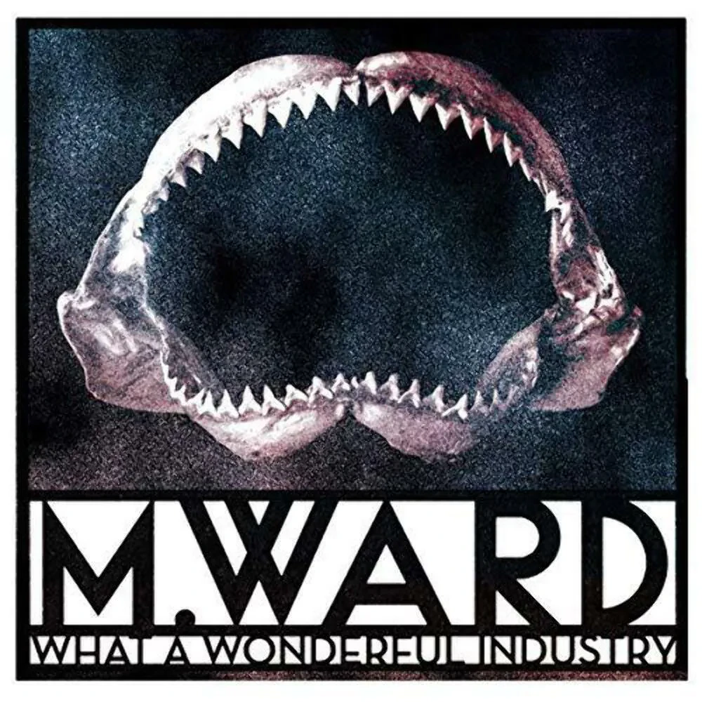 Виниловая пластинка M. Ward – What A Wonderful Industry Sealed