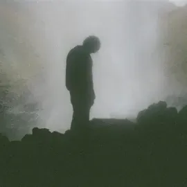 Виниловая пластинка Palmistry - Afterlife [New Vinyl LP] Black