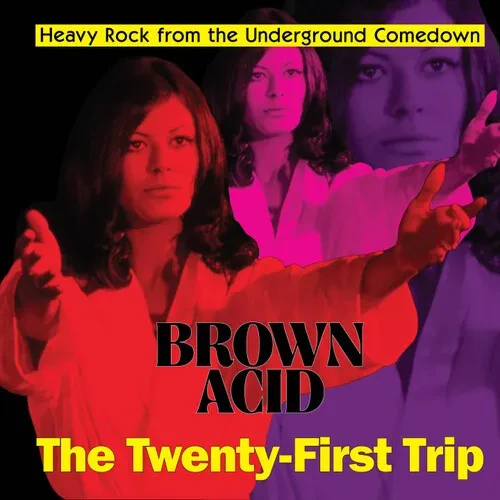 Виниловая пластинка Various Artists - Brown Acid - The Twenty-first Trip (Various Artists) [New Viny