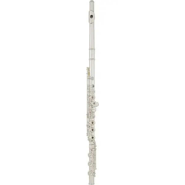 Флейта Allora Paris Professional Solid Silver Flute Offset G/C# Trill B Foot/Open Hole