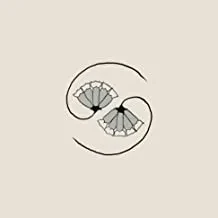 GODSPEED YOU! BLACK EMPEROR - G_d's Pee At State's End! (CD)