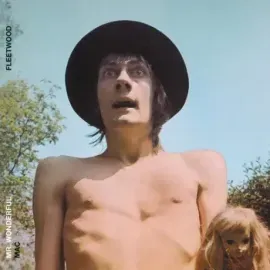 Виниловая пластинка Fleetwood Mac – Mr. Wonderful