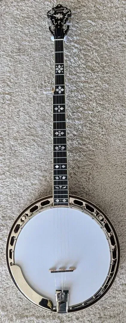 Recording King ELITE-76 5-String Resonator Banjo, Elite Hearts & Flowers w/Case