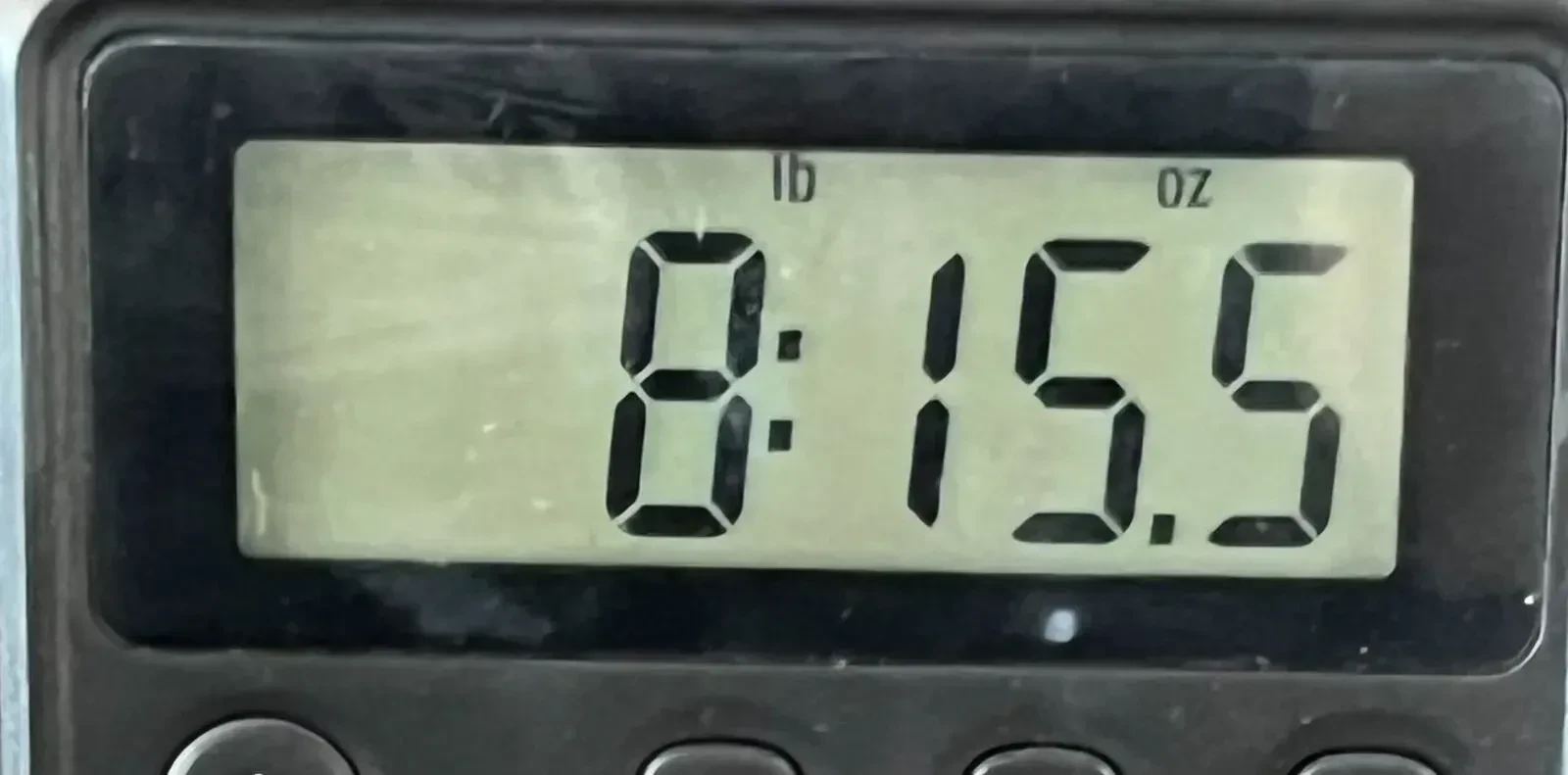 Изображение №8