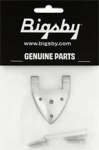 Bigsby B3/6C Gretsch Hinge with Hinge Pin and Screws, Chrome, 006-1720-006