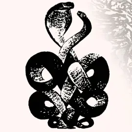 Bardo Pond - Volume 4 & 5 NEW Vinyl