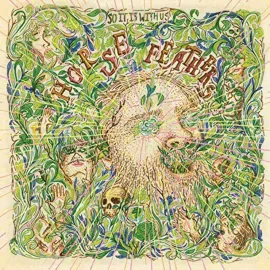 Виниловая пластинка Horse Feathers – So It Is With Us