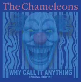 Виниловая пластинка The Chameleons – Why Call It Anything