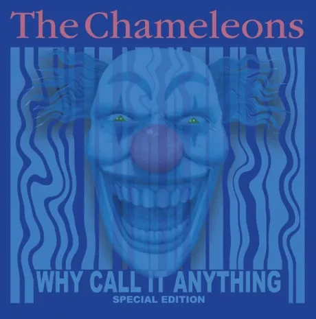 Виниловая пластинка The Chameleons – Why Call It Anything