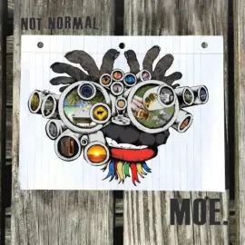 Виниловая пластинка moe. – Not Normal 2021 Sealed