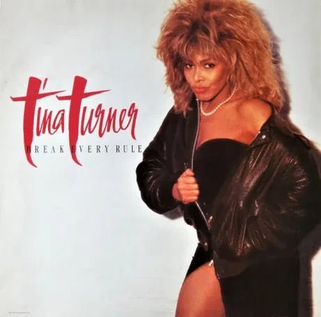 TINA TURNER - Break Every Rule (LP , Used)