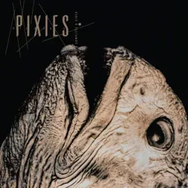 Виниловая пластинка Pixies – Complete B Sides: 1988-97 Релиз 2026