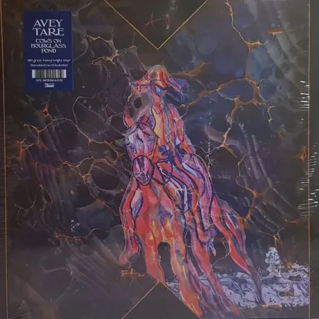 Виниловая пластинка Avey Tare – Cows On Hourglass Pond