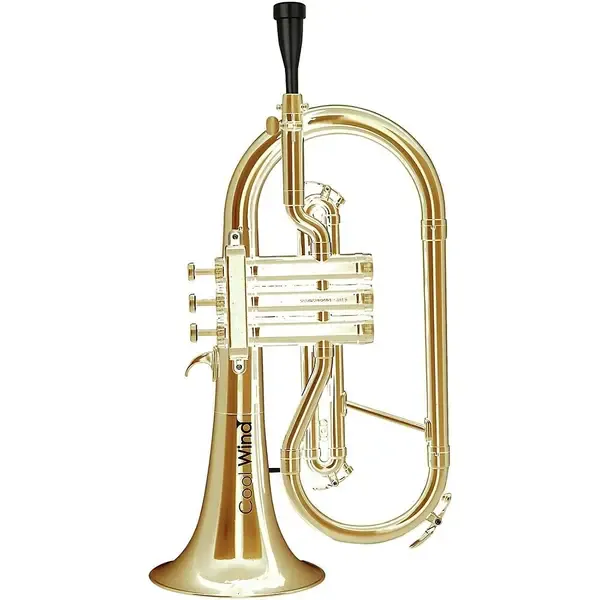 Флюгельгорн Cool Wind CFG-200 Metallic Series Plastic Bb Flugelhorn Lacquer