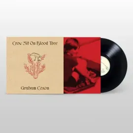 Виниловая пластинка Graham Coxon - Crow Sit on Blood Tree [New Vinyl LP] Explicit, Reissue