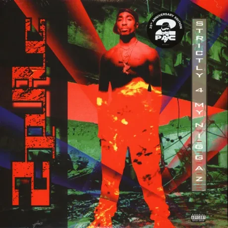 Виниловая пластинка 2PAC – Strictly 4 My N.I.G.G.A.Z…