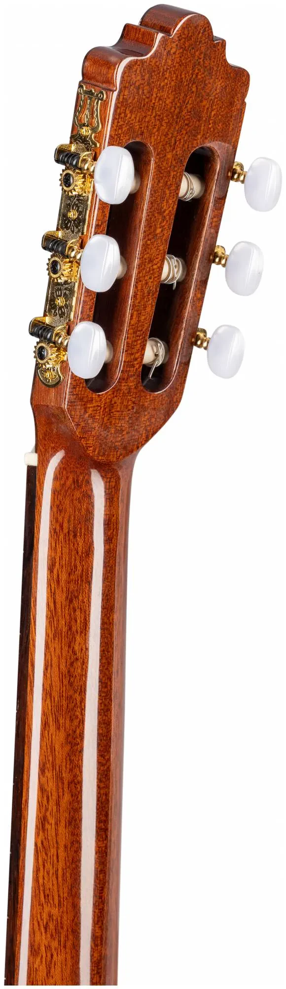 Изображение №3