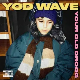 Виниловая пластинка Your Old Droog - Yod Wave [New Vinyl LP]