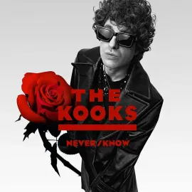 Виниловая пластинка The Kooks – Never/Know 2025