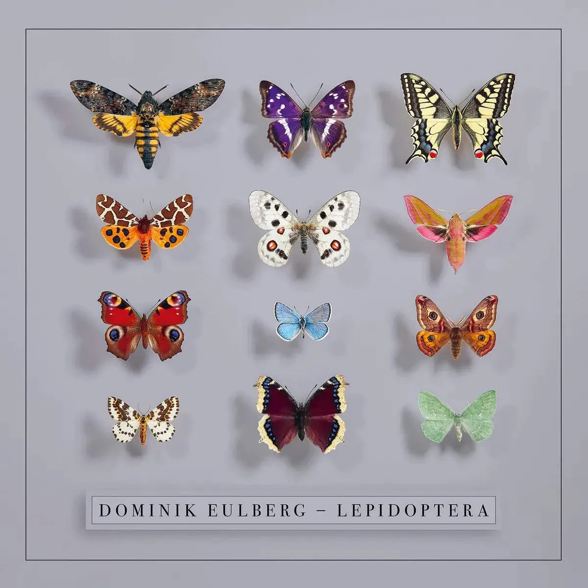 Виниловая пластинка Dominik Eulberg – Lepidoptera (Релиз 2026)