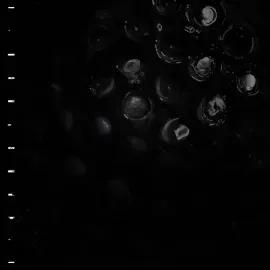 Виниловая пластинка Crumb - Ice Melt [New Vinyl LP]