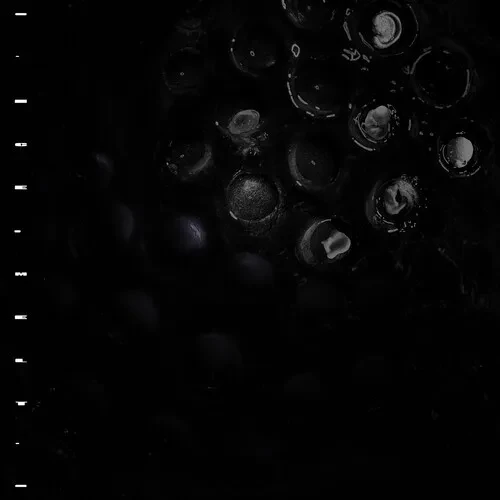 Виниловая пластинка Crumb - Ice Melt [New Vinyl LP]