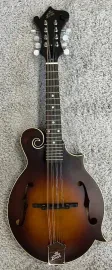 The Loar Model LM-310F-BRB Honey Creek Hand-Carved F-Style Mandolin , B-Stock