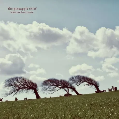Виниловая пластинка THE PINEAPPLE THIEF – What We Have Sown