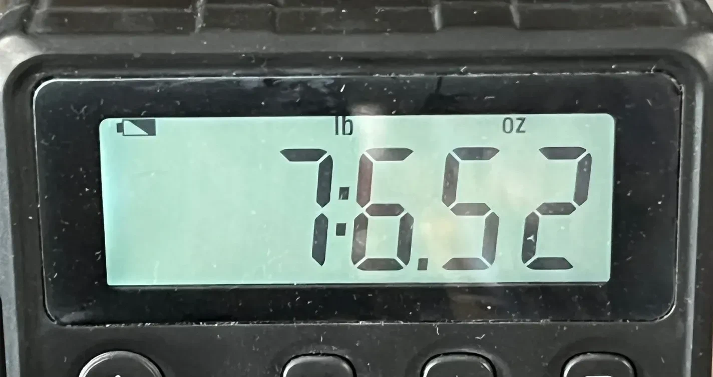 Изображение №9