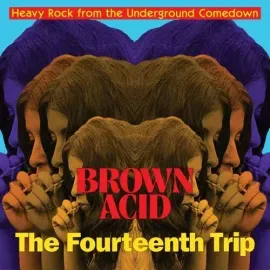 Виниловая пластинка Brown Acid - Fourtee - Brown Acid - Fourteenth Trip (various Artists) [New Vinyl